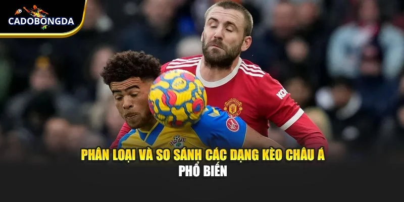 Phân loại và so sánh các dạng kèo châu Á phổ biến