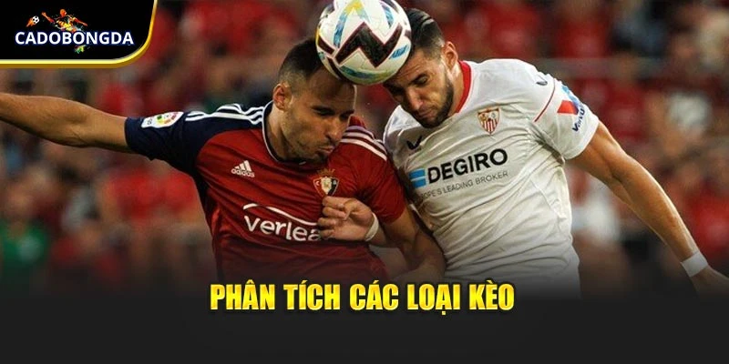 Phân tích các loại kèo