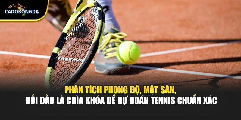 Phân tích phong độ, mặt sân, đối đầu là chìa khóa để dự đoán tennis chuẩn xác