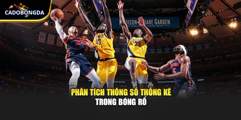 Phân tích thông số thống kê trong bóng rổ