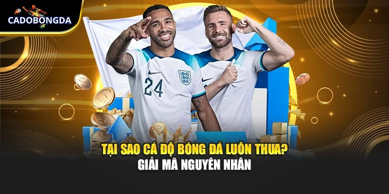 Tại Sao Cá Độ Bóng Đá Luôn Thua? Giải Mã Nguyên Nhân