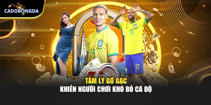 Tâm lý gỡ gạc khiến người chơi khó bỏ cá độ