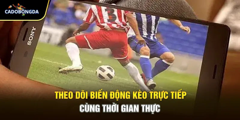 Theo dõi biến động kèo trực tiếp cùng thời gian thực