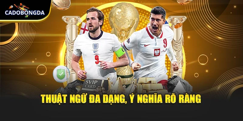 Thuật ngữ đa dạng, ý nghĩa rõ ràng