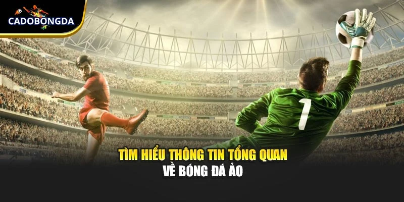 Tìm hiểu thông tin tổng quan về bóng đá ảo