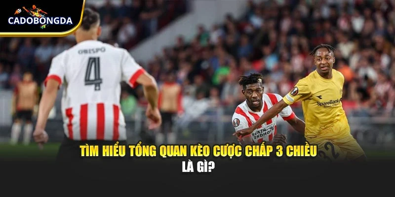 Tìm hiểu tổng quan kèo cược chấp 3 chiều là gì?