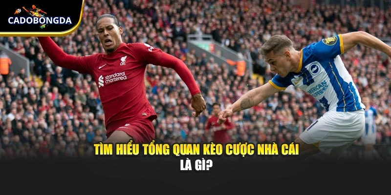 Tìm hiểu tổng quan kèo cược nhà cái là gì?