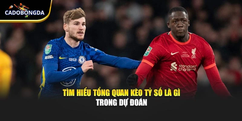 Tìm hiểu tổng quan kèo tỷ số là gì trong dự đoán