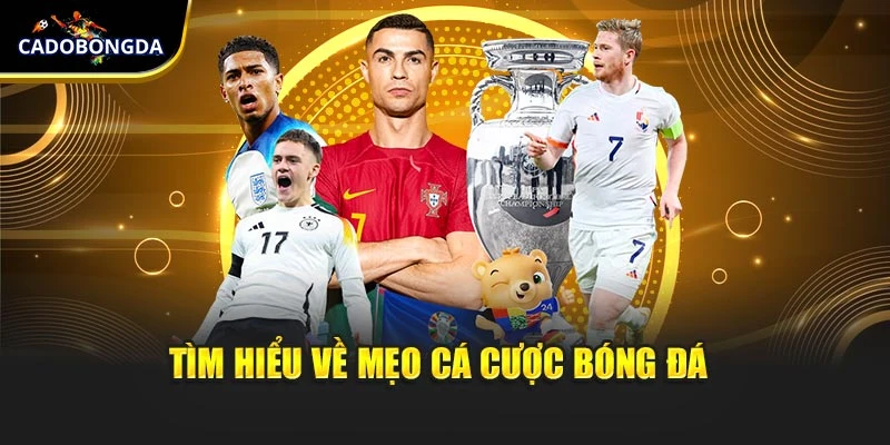 Chi tiết mẹo cá cược bóng đá cơ bản