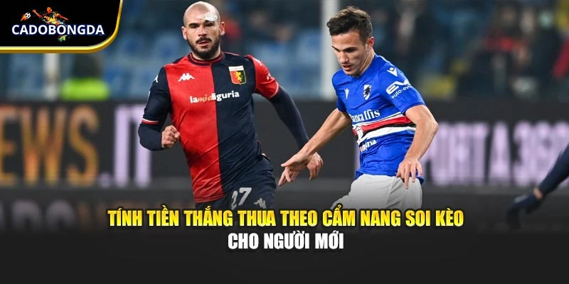 Tính tiền thắng thua theo cẩm nang soi kèo cho người mới