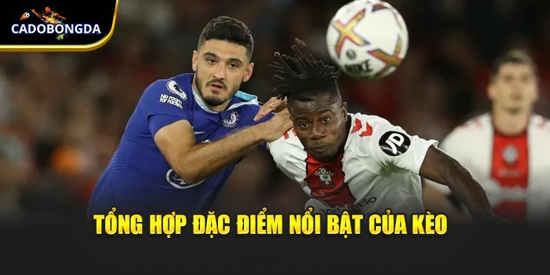 Tổng hợp đặc điểm nổi bật của kèo 