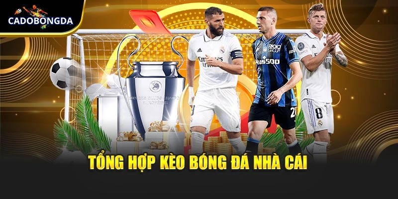 Tổng hợp kèo bóng đá nhà cái