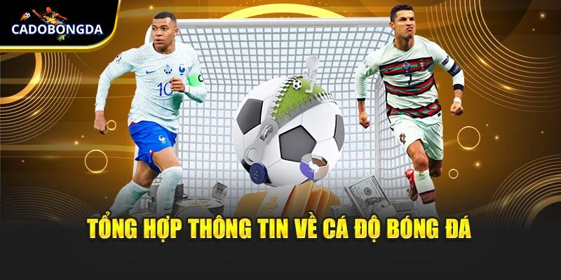 Tổng hợp thông tin về cá độ bóng đá