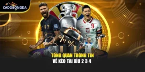 Kèo Tài Xỉu 2 3 4 Nghĩa Là Sao? Giải Thích Cho Người Chơi