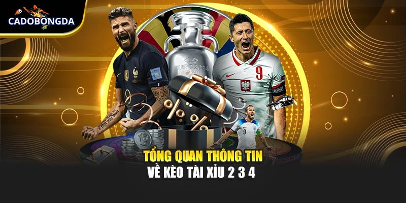 Kèo Tài Xỉu 2 3 4 Nghĩa Là Sao? Giải Thích Cho Người Chơi