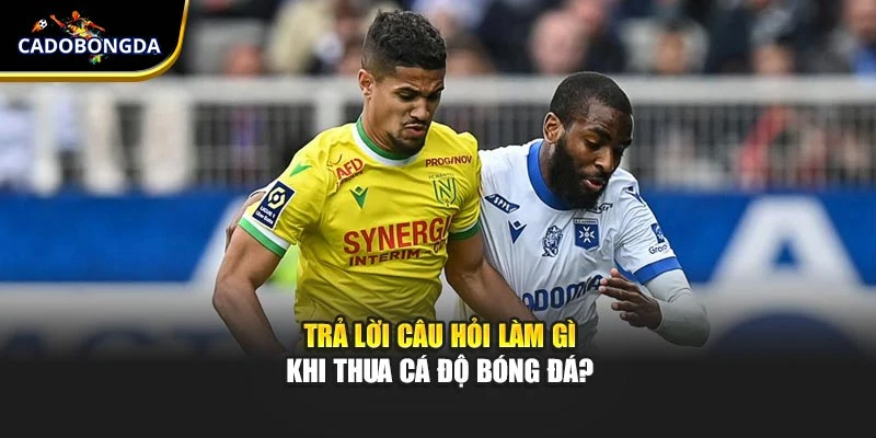 Trả lời câu hỏi làm gì khi thua cá độ bóng đá?