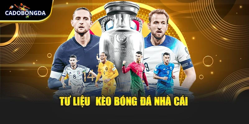 Tư liệu kèo bóng đá nhà cái