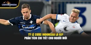 Tỷ Lệ Cược Indonesia Là Gì? Phân Tích Chi Tiết Cho Tân Binh