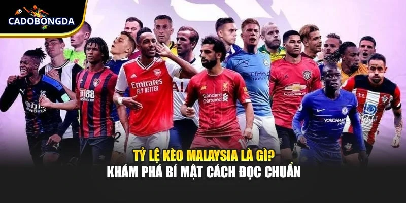 Tỷ Lệ Kèo Malaysia Là Gì? Khám Phá Bí Mật Cách Đọc Chuẩn