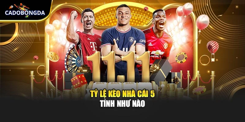 Tỷ lệ kèo nhà cái 5 tính như nào