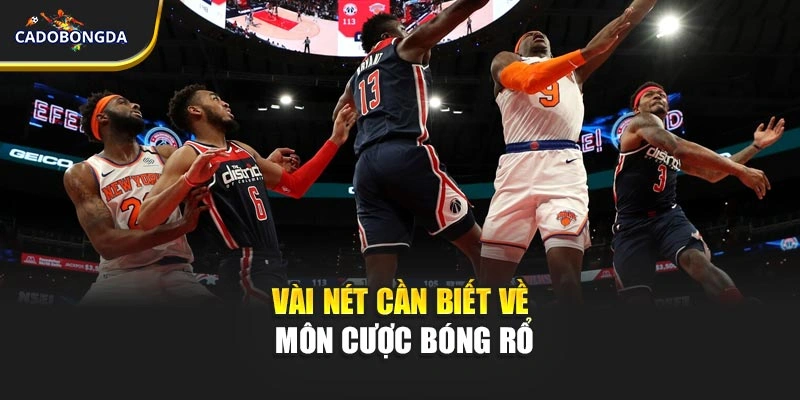 Vài nét cần biết về môn cược bóng rổ