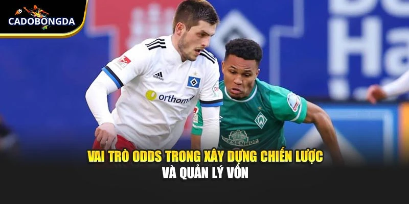 Vai trò odds trong xây dựng chiến lược và quản lý vốn