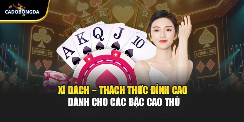 Xì Dách – Thách Thức Đỉnh Cao Dành Cho Các Bậc Cao Thủ