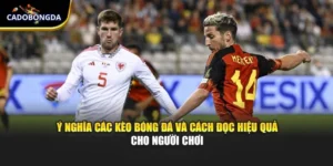 Ý Nghĩa Các Kèo Bóng Đá Và Cách Đọc Hiệu Quả Cho Người Chơi