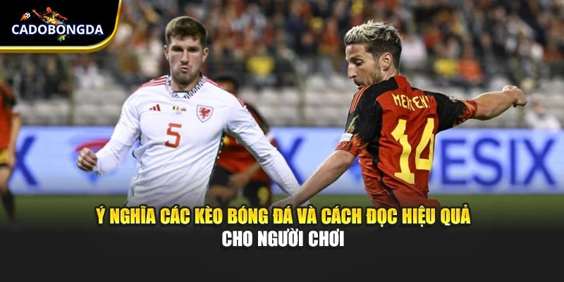 Ý Nghĩa Các Kèo Bóng Đá Và Cách Đọc Hiệu Quả Cho Người Chơi